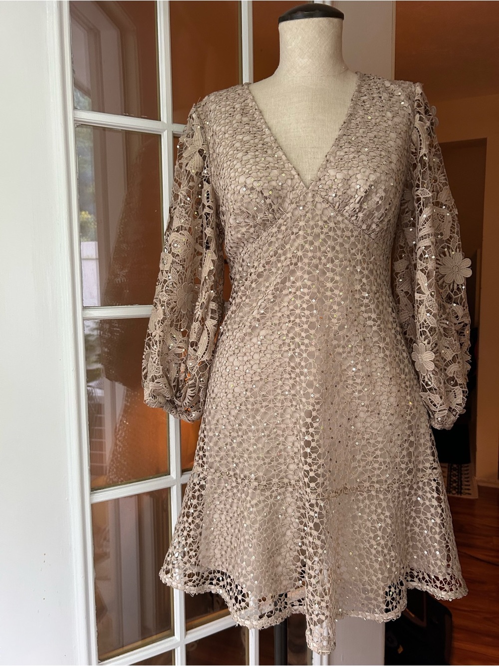 French Connection Nude Caballo Lace Sequined Mini Dress. Sz. 6